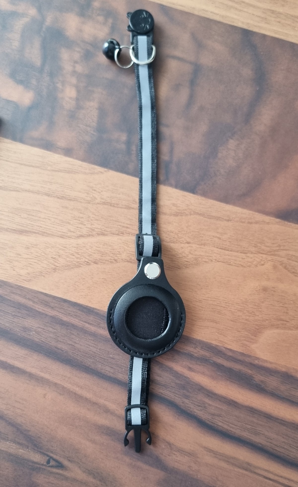 Détail de la bande réfléchissante grise sur le collier noir