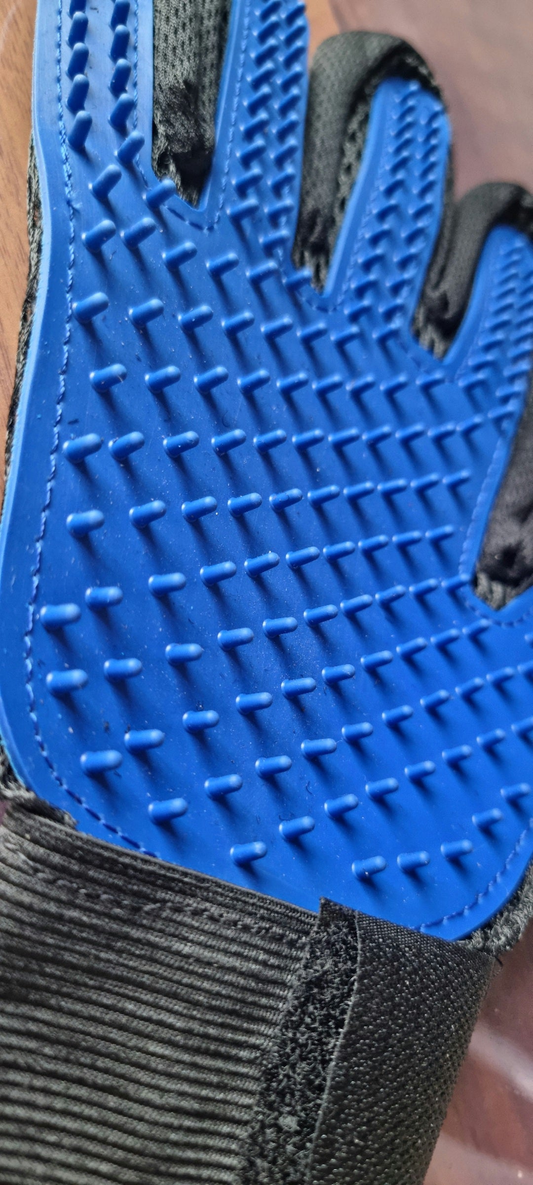Gant de Brossage Chat & Démêloir à Lames — Pack Anti-Poils et Nœuds